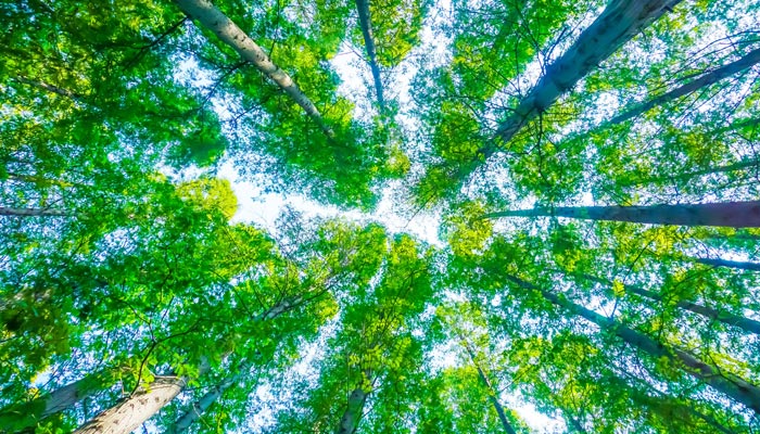 サスティナビリティ